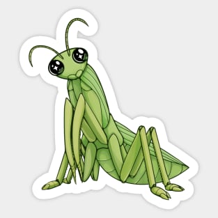 Polite Praying Mantis Sticker